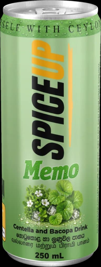 SPICEUP Memo can